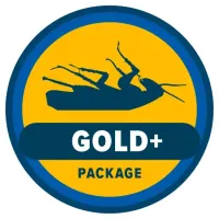 package-badge-gold-plus