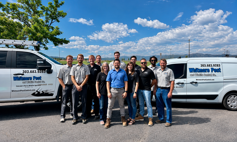 The Whitmore Pest Control team
